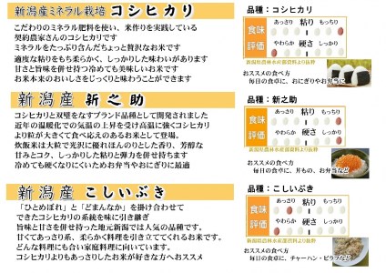 【令和6年産新米予約】新潟人気米セット 6kg(2kg×3種) ミネラル栽培コシヒカリ 新之助 こしいぶき 精米 白米 井上米穀店 11月上旬より順次発送予定 1I09013