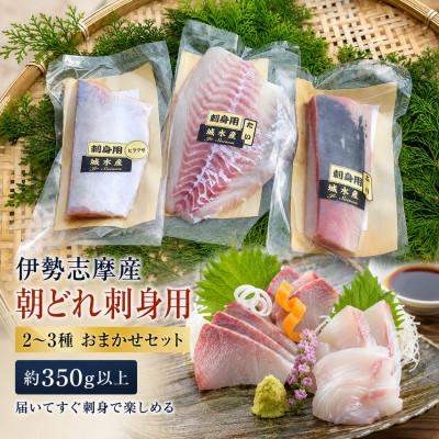 ふるさと納税 南伊勢町 【毎月定期便】訳あり 伊勢志摩産 朝どれ新鮮 2〜3種 約350g お刺身用 おまかせセット全3回
