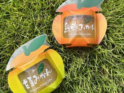 【熊野みかん&甘夏みかんゼリー6個☆詰め合わせ】化粧箱
