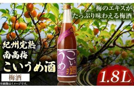 梅酒 こいうめ酒 1.8L 酒のねごろっく 《90日以内に出荷予定(土日祝除く)》梅酒梅酒梅酒