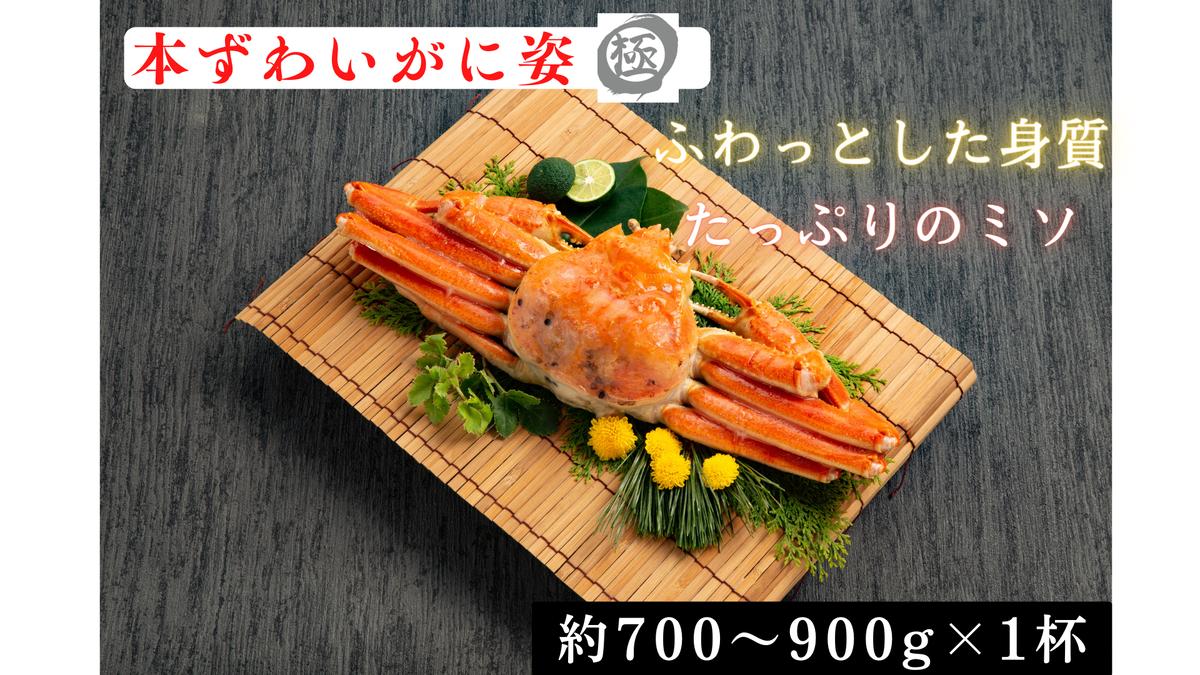 13-359 本ずわいがに姿 大型サイズ1杯