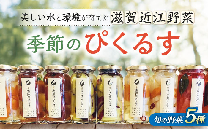 
滋賀近江ぴくるす 季節の5種セット　滋賀県長浜市/株式会社わたなべ陶器 [AQAC019]
