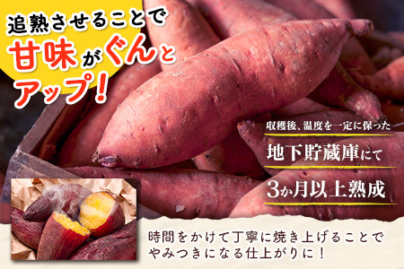 特製焼き芋！熟成蜜芋「紅はるか」計1kg 国産 新富町産［12月～5月出荷］さつまいも ねっとり焼芋 イモ【A309-1205】