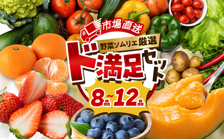 青うなぎ＆野菜  渥美半島よくばりセット 蒲焼き 鰻 ウナギ うなぎ蒲焼 惣菜 幻 簡単調理 おいしい 高評価 ふるさと納税 魚 さかな 魚介 ランキング 野菜ソムリエ厳選 旬の野菜 フルーツ 詰め合