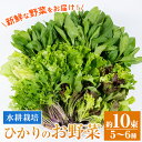 【ふるさと納税】ひかりのお野菜(約10束・5〜6種) 国産 野菜 やさい 葉物 旬 ほうれん草 水菜 チンゲン菜 小松菜 リーフレタス ルッコラ 水耕栽培 ミックスリーフ 山東白菜 何が届くかはお楽しみ【ひかりの郷】