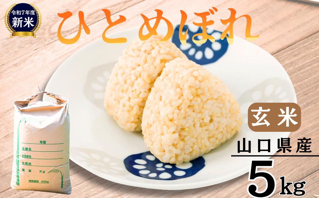 【先行予約／令和7年新米】 ひとめぼれ 5Kg ［玄米］［山口県宇部産］ 【令和7年 新米 ひとめぼれ 5Kg 玄米 山口県産 宇部産 地元米 農家直送 宇部市産 美味しい お米 寒暖差 霜降山麓 綺麗な水 高品質米 新鮮米 収穫直後 国産米 ご飯 炊き立て 美味しさ長持ち】