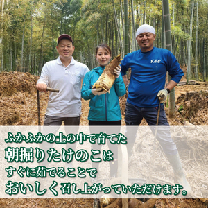 朝掘り京たけのこ 約2kg(4月以降発送) 京都産 【たけのこ】