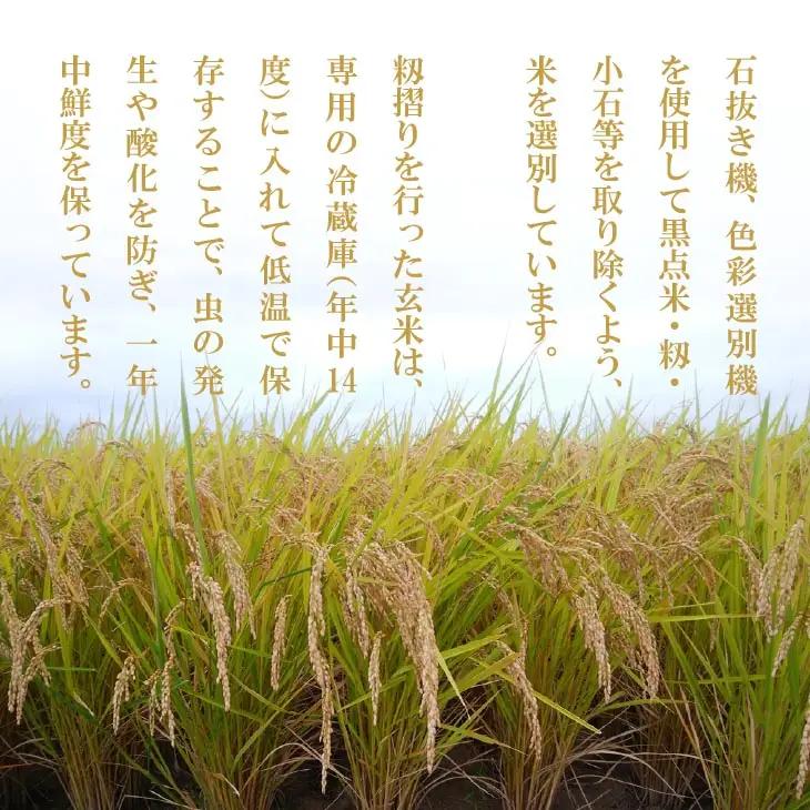 【定期便】令和8年産米　淡路島産コシヒカリ　玄米10kg《9回コース》