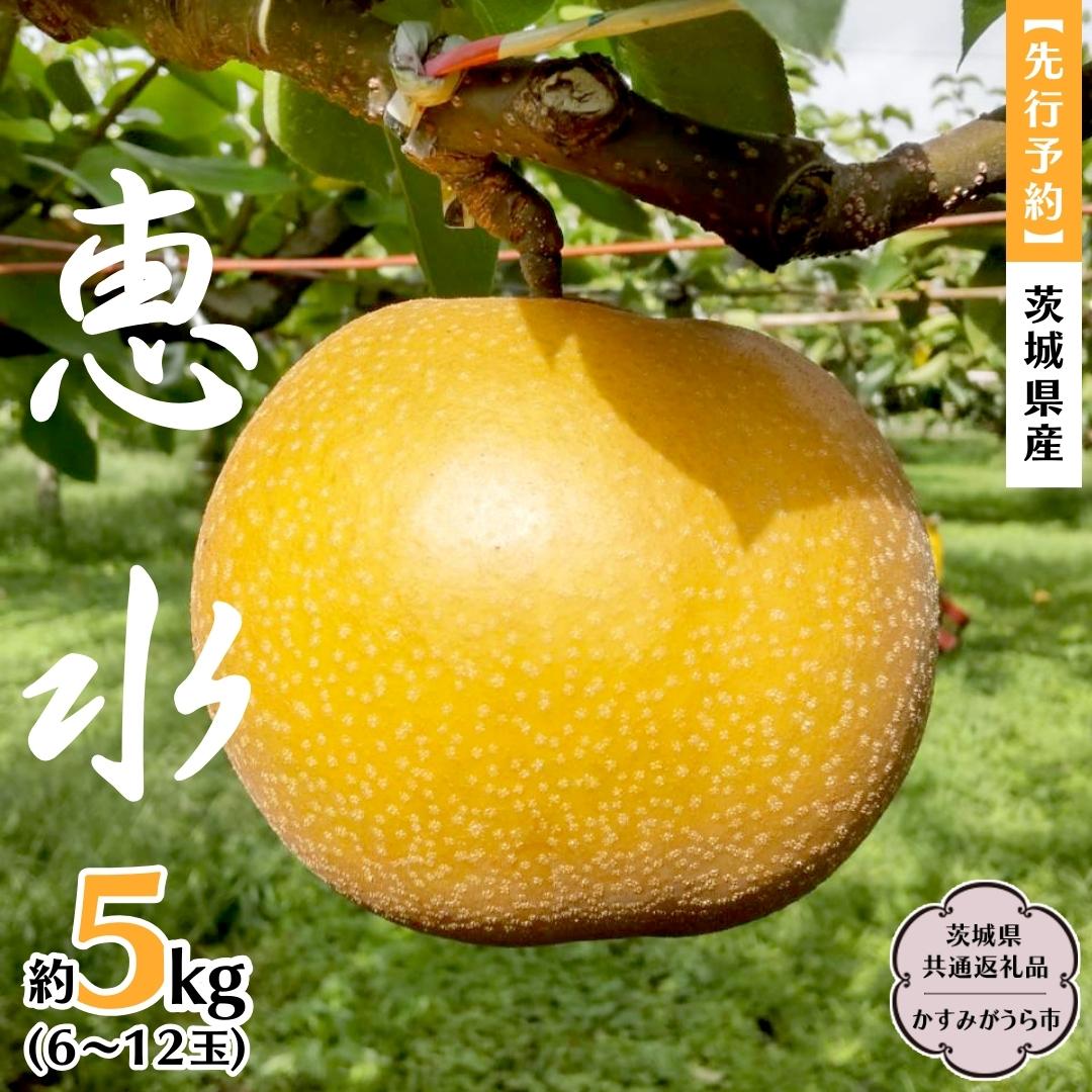 【ふるさと納税】【 先行予約 】 茨城県産 梨 恵水 約5kg 6玉～12玉 (茨城県共通返礼品 かすみがうら市) (2025年9月中旬発送開始) 産地直送 久保田果樹園 フルーツ 甘い 直送 茨城 限定 ギフト 梨 恵水 けいすい 果物