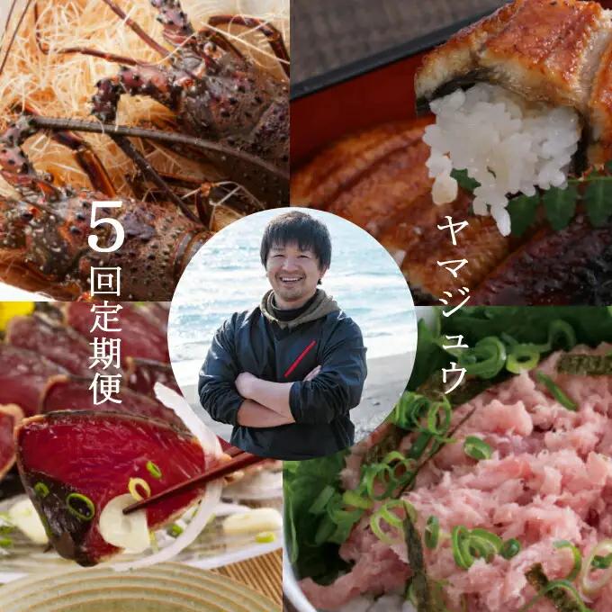 【 定期便 / 計5回 】海鮮 惣菜 海鮮 