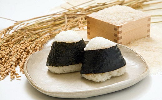 【 令和7年 新米 】お弁当屋さんが太鼓判！棚田浮立の里のお米10kg「夢しずく」( 米 お米 コメ 白米 夢しずく 精米 10kg 10キロ 棚田米 送料無料 )【C7-028】