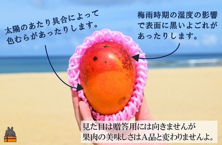 ≪今が旬！≫訳あり！【家庭用】徳之島産完熟マンゴー2kg（4～8玉）( マンゴー フルーツ わけあり 訳あり 訳有 果物 完熟 無加温 徳之島 世界自然遺産 美味しい とろける 旬 贅沢 糖度 南の島