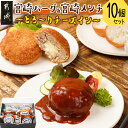 【ふるさと納税】 宮崎バーグ＆宮崎メンチ〜とろ〜りチーズイン〜10個セット - チーズインハンバーグ チーズインメンチカツ 宮崎県産牛豚使用 合挽ハンバーグ 送料無料 14-F701【宮崎県都城市は2年連続ふるさと納税日本一！】