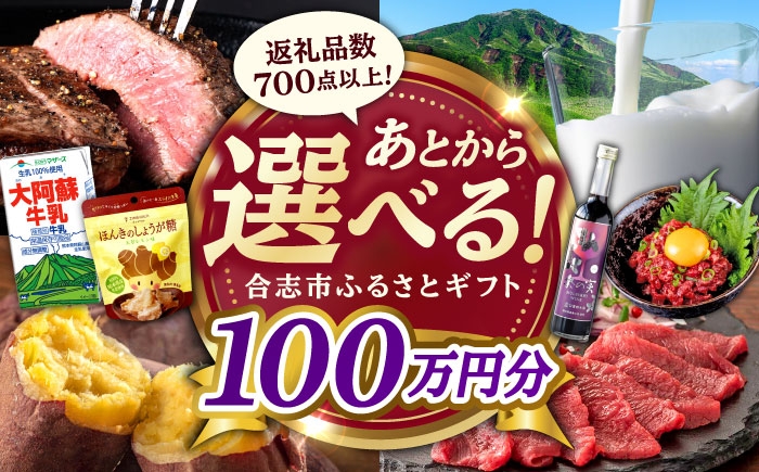 
            【あとから選べる！】合志市 ふるさとギフト 100万円分　【合志市役所】 [AYBZ018]
          