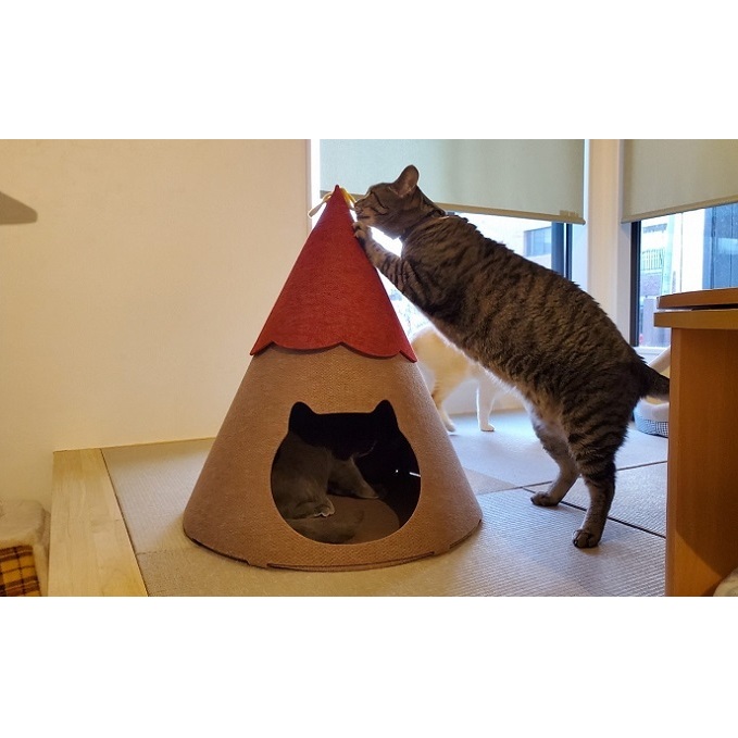ねこハウスにゃろにも 赤×茶 高さ58cm 猫 ネコ インテリア おしゃれ テント ペット_イメージ2