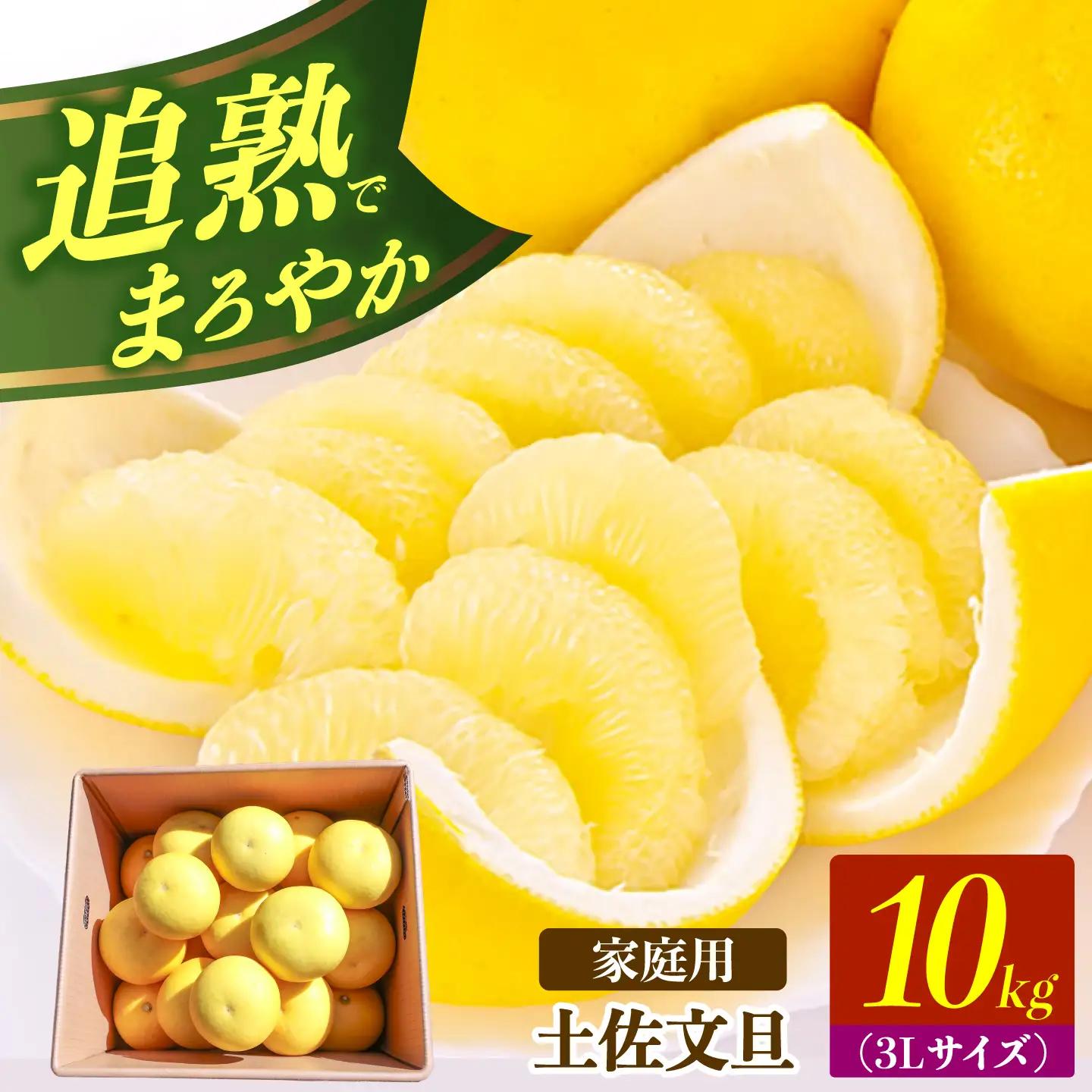 【先行予約】土佐文旦の創始 宮地文旦園の土佐文旦 家庭用3L 大玉 約10キロ 16~19個入り 10kg〈2027年3月上旬～4月下旬〉 高知県 土佐市【宮地文旦園】[BQBP008]