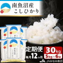 【ふるさと納税】米 定期便 南魚沼産 コシヒカリ 360kg ( 30kg × 12ヵ月 ) | お米 こめ 白米 食品 人気 おすすめ 送料無料 魚沼 南魚沼 南魚沼市 新潟県 精米 産直 産地直送 お取り寄せ お楽しみ