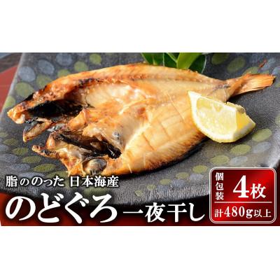 ふるさと納税 柏崎市 自家製ひもの「のどぐろ開きいしり漬」1尾(120g〜140g位)×【4枚】
