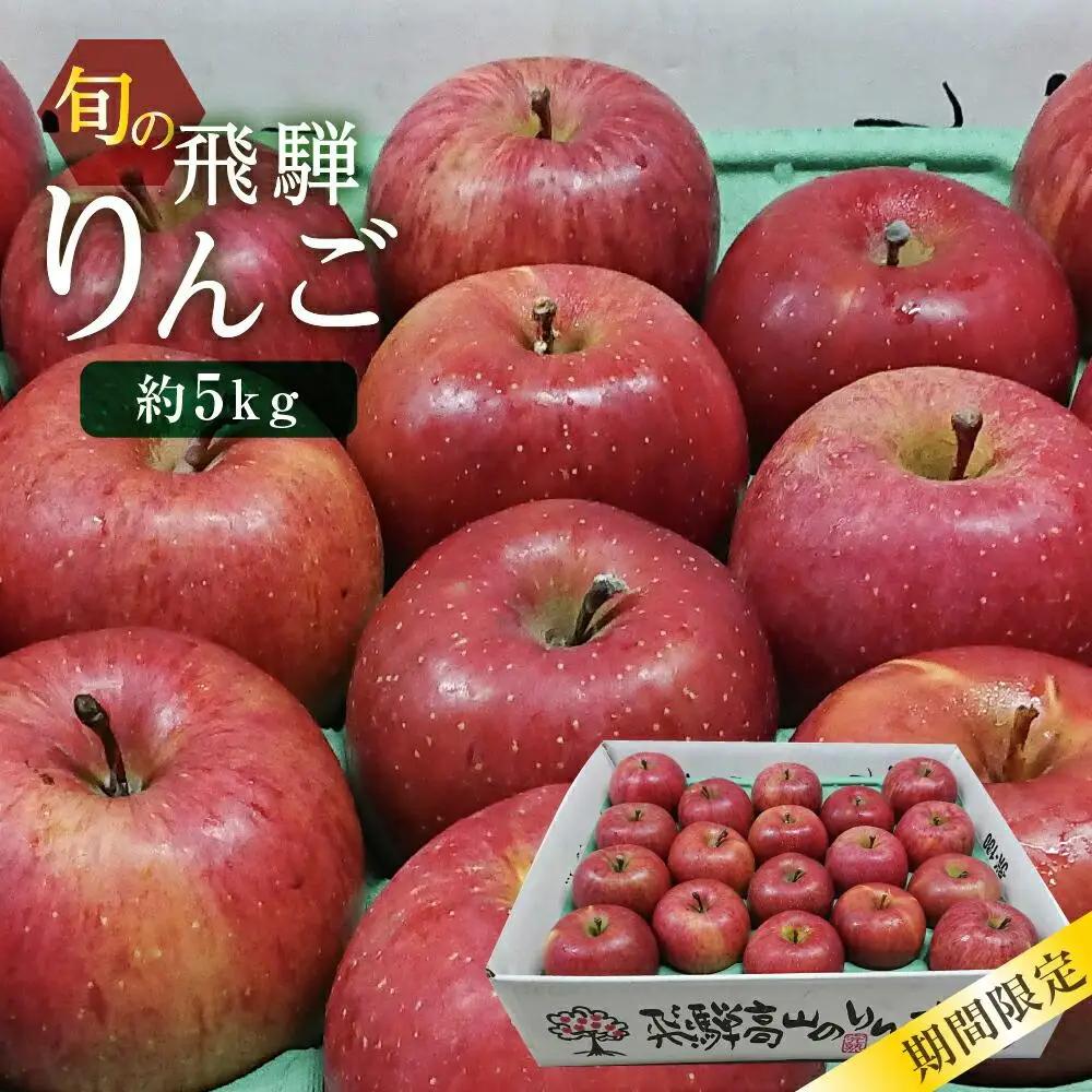【先行予約 9月中旬～1月下旬発送】飛騨りんご 約5kg (16個～20個）| リンゴ 品種おまかせ MA005