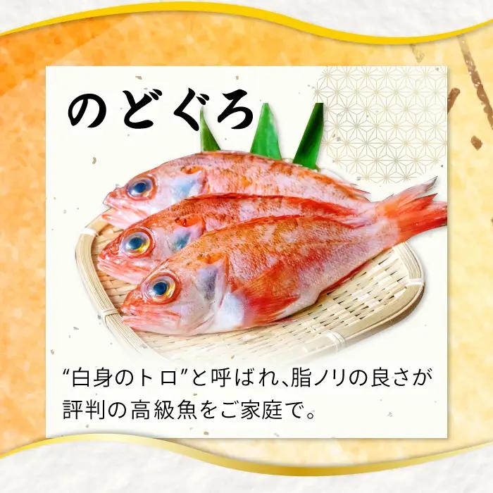 ノドグロ一夜干４尾セット【のどぐろ一夜干し のどぐろ 干物 4尾 1尾あたり120～140g 島根県産 大田市産 魚介類 魚 ノドグロ のど黒 高級魚 干物 真空パック 冷凍】