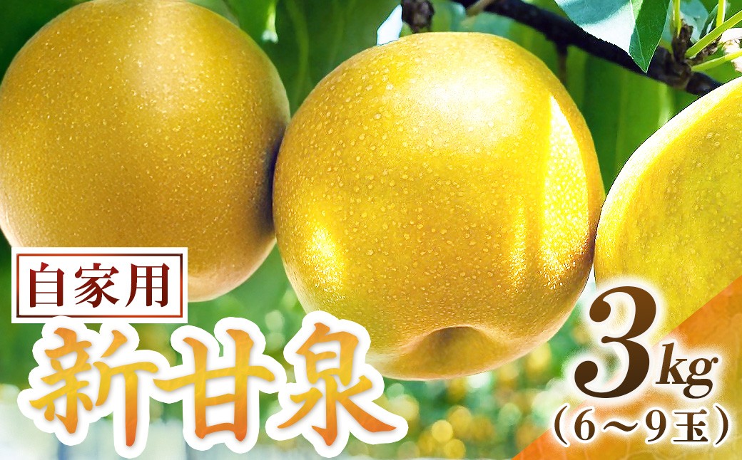 
                  新甘泉【自家用】3kg（東商果樹園） 鳥取 梨 果物 フルーツ 和梨 新甘泉 しんかんせん 人気 甘い
                