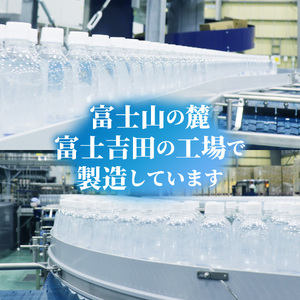 ド情熱価格 強炭酸水 グレープフルーツ味 500ml×48本（2ケース） 強炭酸水 炭酸 炭酸水 割り材 フレーバー 山梨 富士吉田