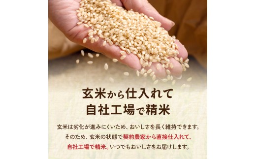 令和8年産 留萌市産 ななつぼし 10kg (5kg×2袋) R037-009