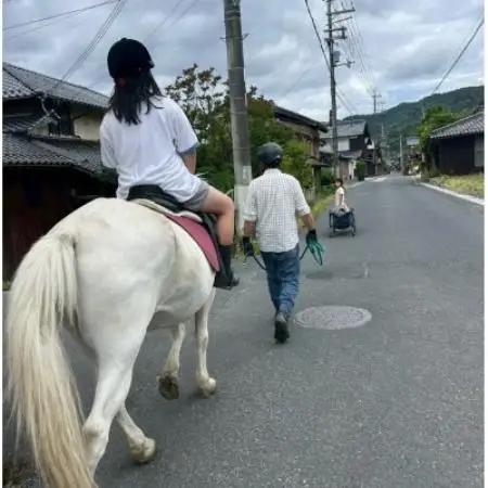 馬の暮らし体験(ホースセラピー)馬と触れあい乗ってみる 2時間コース 1名様【京都府与謝野町】【1758579】