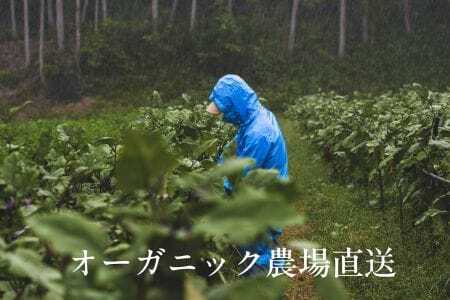 【毎月定期便】しあわせ野菜畑の有機野菜　Sセット（安心の有機JAS認証　旬のオーガニック野菜　農場直送便）全3回　6741