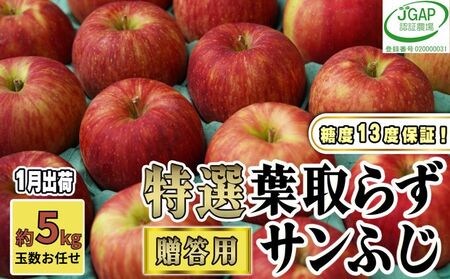 りんごサンふじ贈答用葉取らず特選青森県産りんご【約5kg】