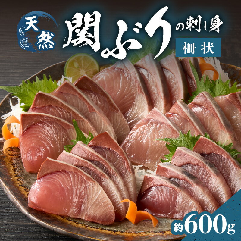 【ふるさと納税】《レビューキャンペーン》関ぶりの刺し身（柵状） 約600g 関ぶり ブリ ぶり 鰤 関ブリ 関鰤 天然 国産 九州産 大分県産 ブランド魚 佐賀関 冷凍 魚介類 海産物 お刺身 刺身 さしみ 他サイトでも人気急上昇中 一本釣り 新鮮 送料無料 E04014