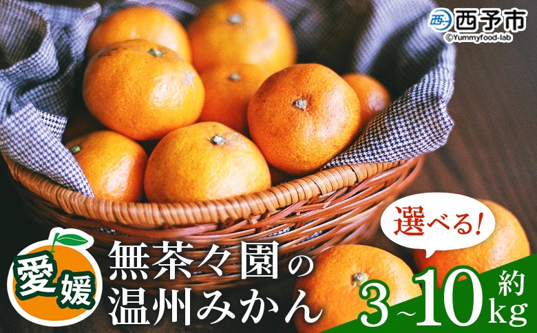 
                  無茶々園 温州みかん 約3kg~10kg　果物 くだもの ミカン 蜜柑 柑橘 フルーツ うんしゅうみかん 選べる内容量 贈り物 ギフト おいしい 期間限定 季節限定 食べて応援 特産品 愛媛県 西予市 【常温】
                