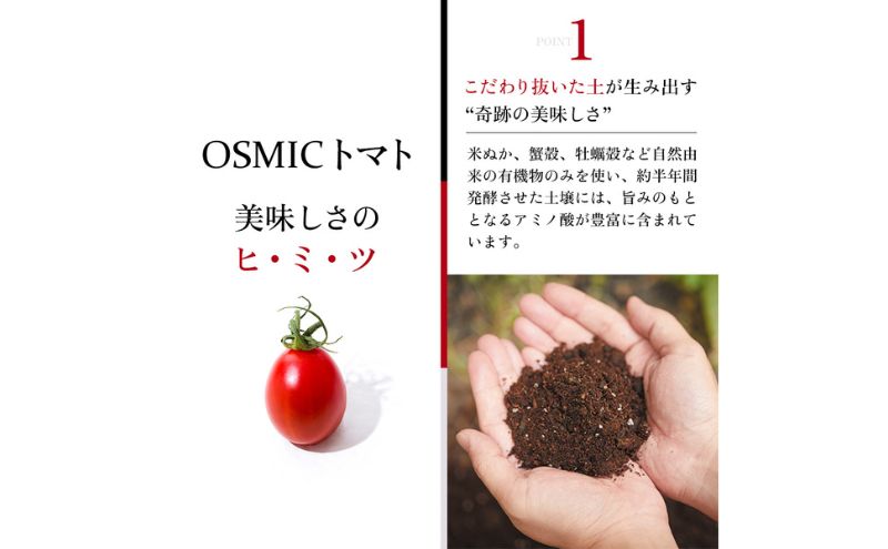 OSMICトマト mini Premium 1kg  3ヶ月 野菜 ミニトマト 