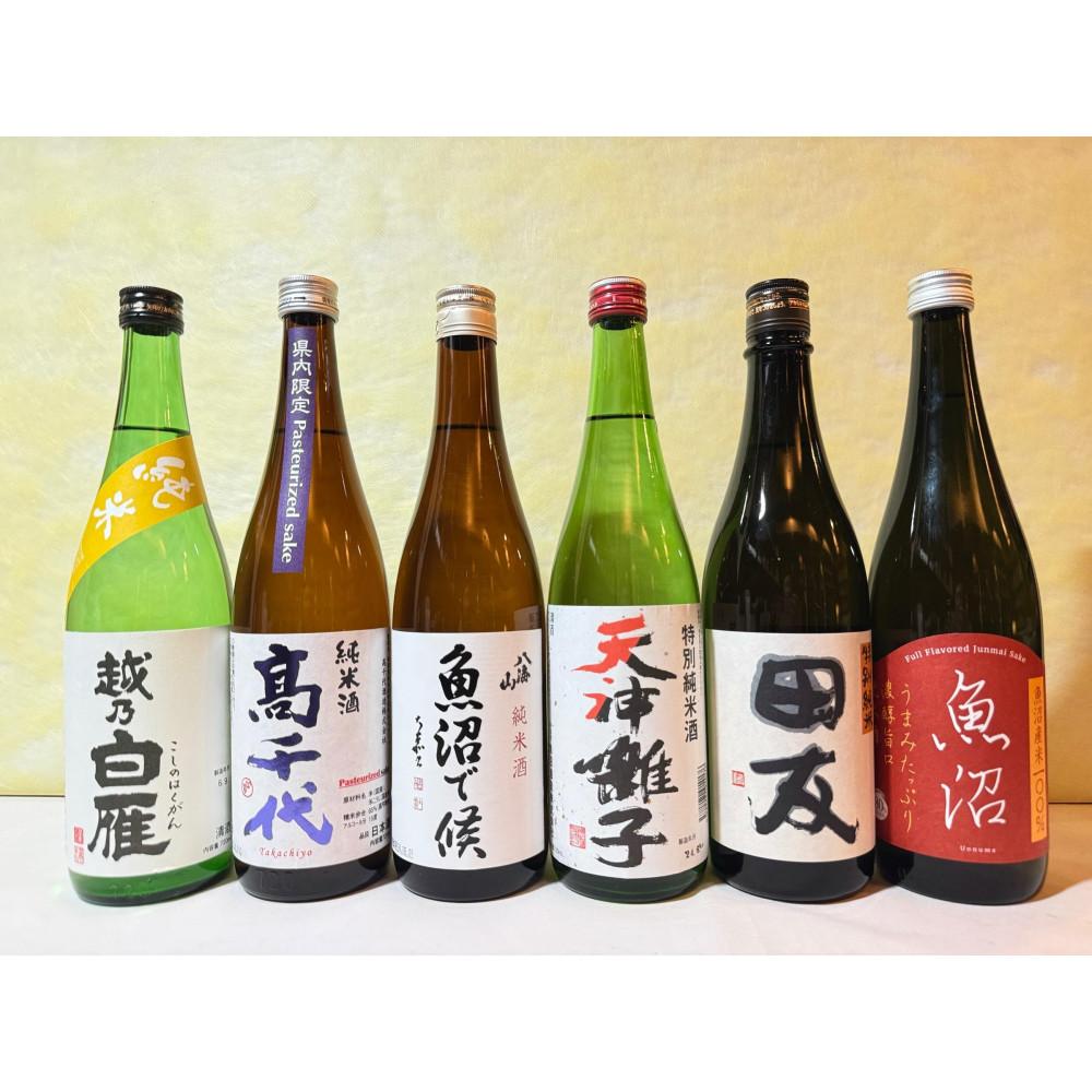 【ふるさと納税】新潟淡麗＜旨口＞純米お手頃セット(720ml×6本) | お酒 さけ 人気 おすすめ 送料無料 ギフト