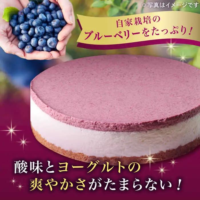 ブルーベリー ヨーグルト ムース ケーキ [ABAK002] フルーツ ベリー
