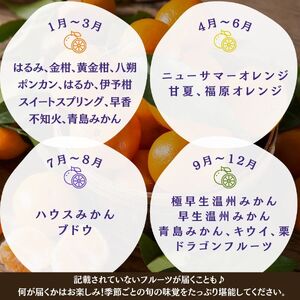 【定期便】　旬の柑橘セット2か月間の定期便　【 柑橘 】