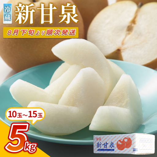 【先行予約】中野農園 梨 ”新甘泉” 5kg 冷蔵便｜鳥取 岩美 梨 なし ナシ 赤梨 果物 フルーツ ※お届けは2026年8月下旬頃～【41081】