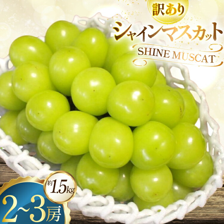 【ふるさと納税】 【期間限定発送】 訳あり シャインマスカット 2〜3房 約 1.5kg [ごとう農園 山形県 高畠町 tk06bcz270001] フルーツ 果物 くだもの ぶどう ブドウ 葡萄 1.5キロ 甘い 果実 デザート マスカット 農家直送 産地直送 数量限定 期間限定 わけあり