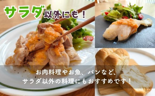 にんじん ドレッシング 200ml ×6本 | にんじん 生ドレッシング 人参 野菜 サラダ 果肉 濃厚 おいしい おすすめ プレゼント ギフト お取り寄せ オーガニックファーム 所沢農人 埼玉県 所