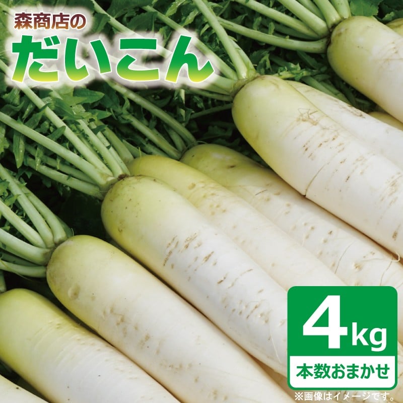 
            訳あり 大根 4kg 本数おまかせ 国産 だいこん 冬野菜 旬 野菜 鍋 おでん ふろふき大根 野菜炒め サラダ 煮物 味噌汁 漬物 大根おろし 家庭用 惣菜 大根の葉 新鮮 産地直送 森商店 徳島県 吉野川市
          