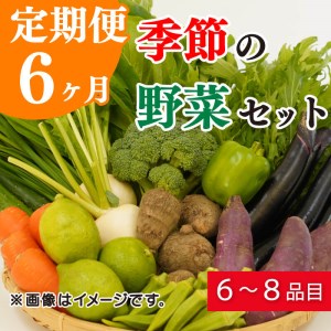 定期便 6回 季節 お楽しみ 野菜 詰め合わせ セット 6?8種 緑新鮮市 キャベツ 人参 にんじん きゅうり じゃがいも なす ほうれん草 小松菜 ピーマン かぼちゃ 白菜 大根 さつまいも 玉ねぎ たまねぎ ブロッコリー トマト オクラ レモン ネギ 生姜 栗 愛媛県 愛南町 (定期便 6回 フレッシュ定期便 お楽しみ定期便 野菜定期便 新鮮定期便 旬野菜定期便）