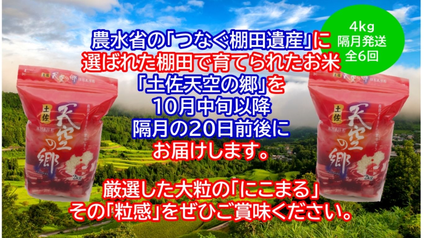 【新米定期便】令和7年産土佐天空の郷 にこまる 4kg 隔月お届け 全6回 2010年・2016年 お米日本一コンテスト inしずおか 特別最高金賞受賞の棚田米