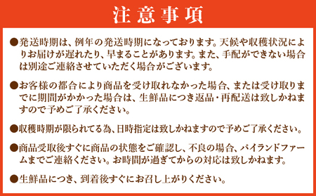 ＜訳あり！＞2026年 先行予約 大きさ不揃い お得！箱にいっぱいピーチパイン4kgセット
