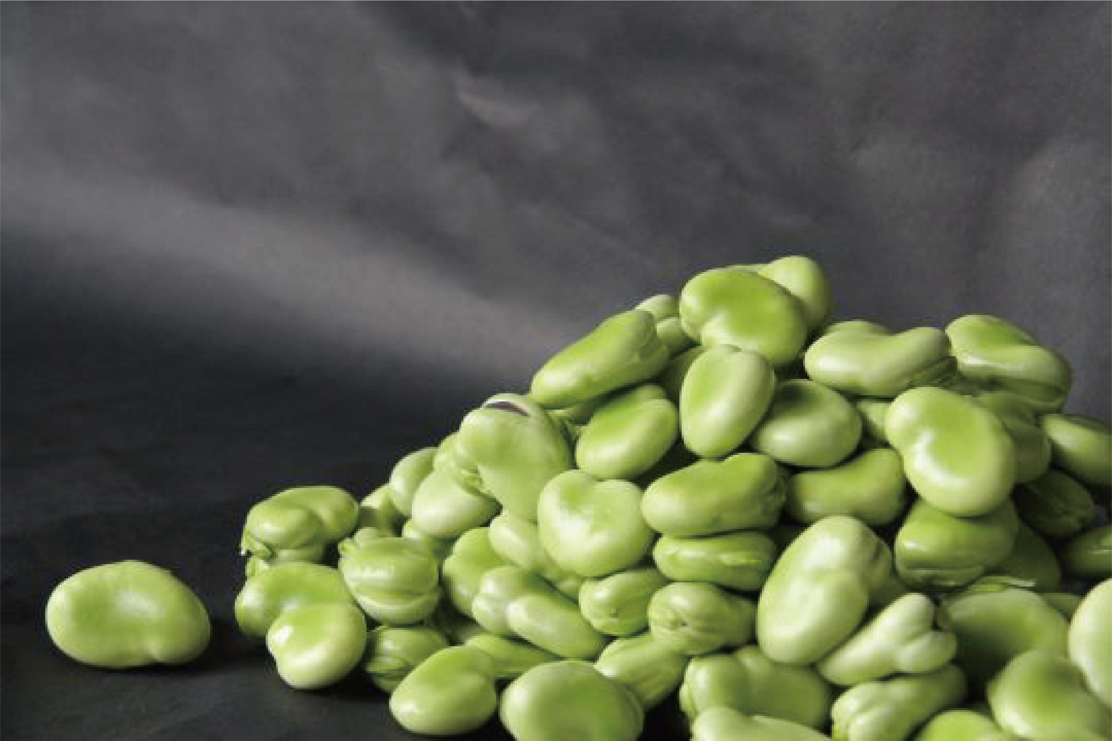 【2026年1月中旬～発送】さや付きそら豆約2kg～冬～(アグリスタイル/A-206) 野菜 そらまめ ソラマメ サラダ 旬 冬 おつまみ