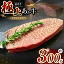 【ふるさと納税】熊本県産 あか牛 「ー延寿牛ー」 ミスジ ステーキ 約300g | 肉 にく お肉 おにく 牛 牛肉 延寿牛 熊本 送料無料 玉名 熊本