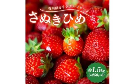 先行予約 いちご さぬきひめ 約1.5kg 苺いちご