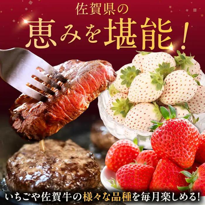 【2027年発送分 先行予約】【全6回定期便】佐賀県の生産者を応援！いちごと牛肉定期便 / いちご 牛肉 / 佐賀県ふるさと納税 [41AAZZ007]