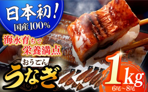 
【着日指定 可能】【日本初！海水で養殖】長崎県産おうごん うなぎ 松セット 約1kg（6尾〜8尾） 平戸市 / 松永水産 うなぎ 鰻 ウナギ 土用丑の日 九州産 蒲焼 かばやき [KAB128]
