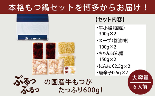 やまや　大容量もつ鍋セット　牛もつたっぷり600g！5〜6人前　EY006