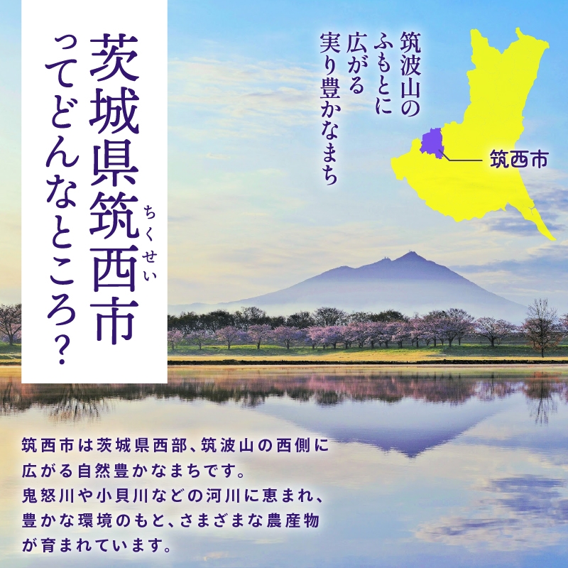 
            【 6ヶ月 定期便 】茨城県産 小麦 100％！ 茨城 を応援！ 3種の 食パン 食べくらべ セット 食べ比べ パン ギフト 詰め合わせ 冷凍 小麦粉 国産 [AU017ci]
          